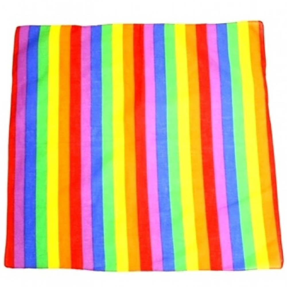 Zac's Alter Ego - Rainbow stripe Bandana - Multicolore